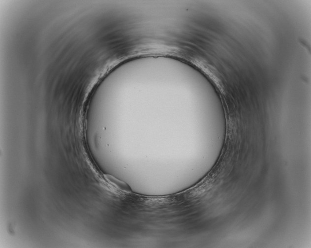 X0000097951477200804140950