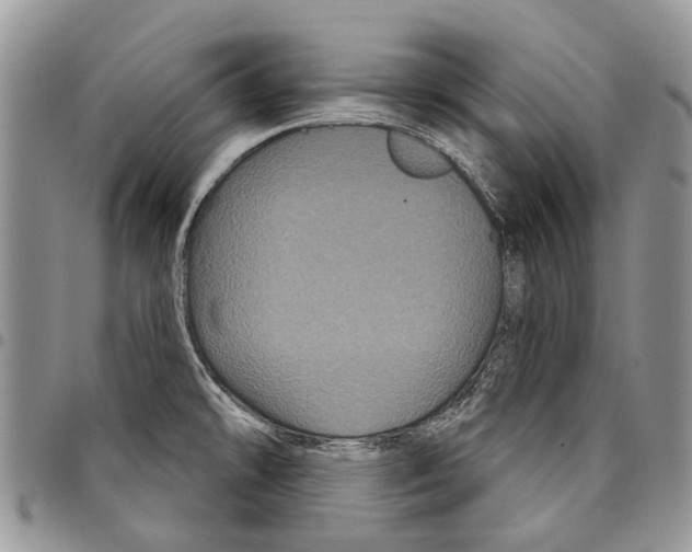 X0000097951478200804140950