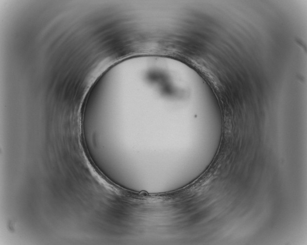 X0000097951479200804140950