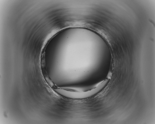 X0000097951480200804140950