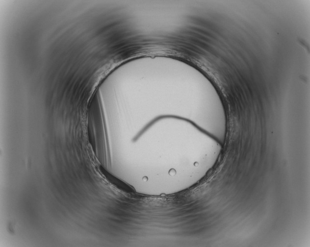 X0000097951481200804140950