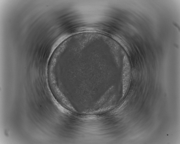 X0000097951482200804140950