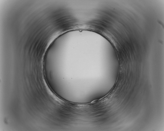 X0000097951483200804140950
