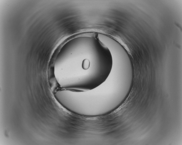 X0000097951484200804140950