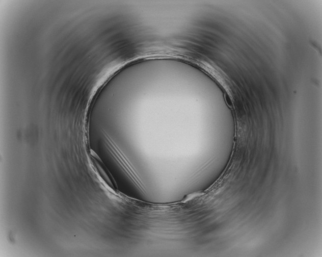 X0000097951485200804140950
