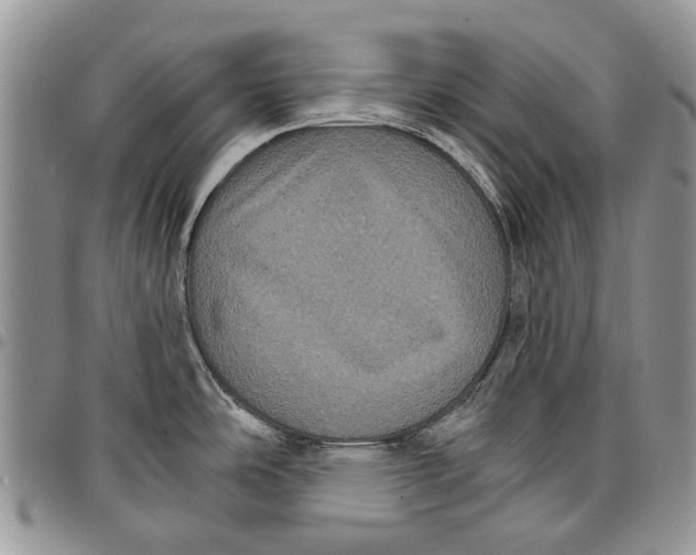 X0000097951486200804140950