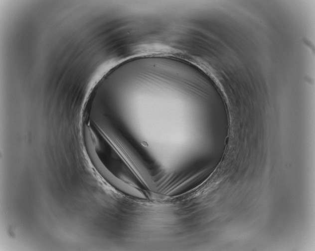 X0000097951488200804140950