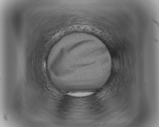 X0000097951489200804140949