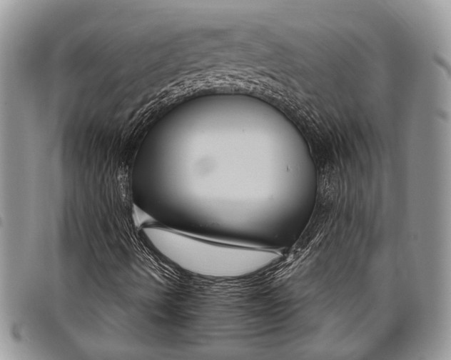 X0000097951490200804140949