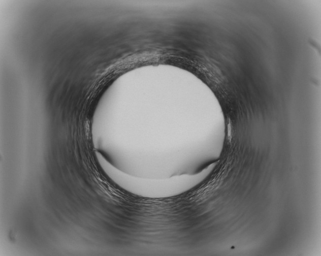 X0000097951492200804140949
