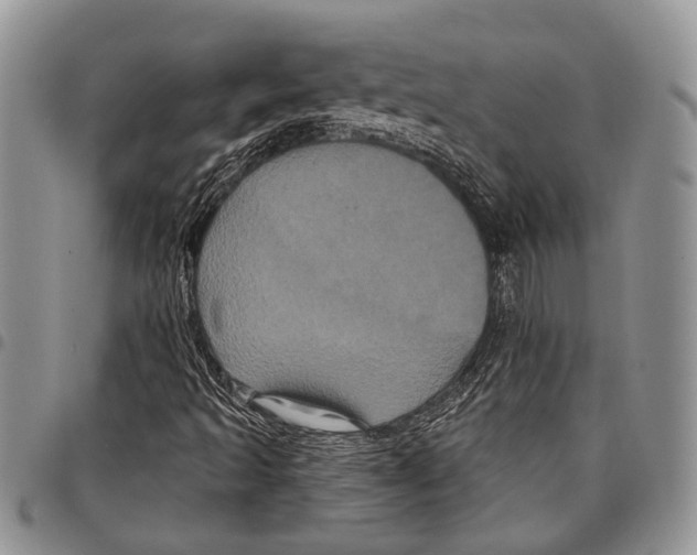 X0000097951493200804140949