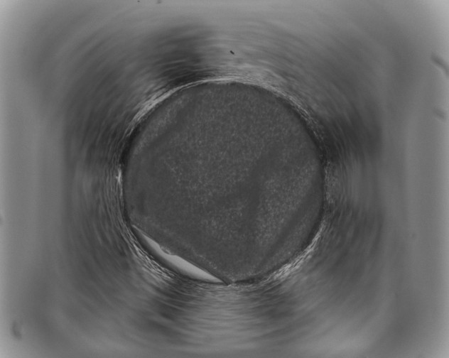 X0000097951497200804140950
