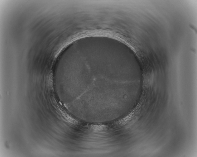 X0000097951498200804140950