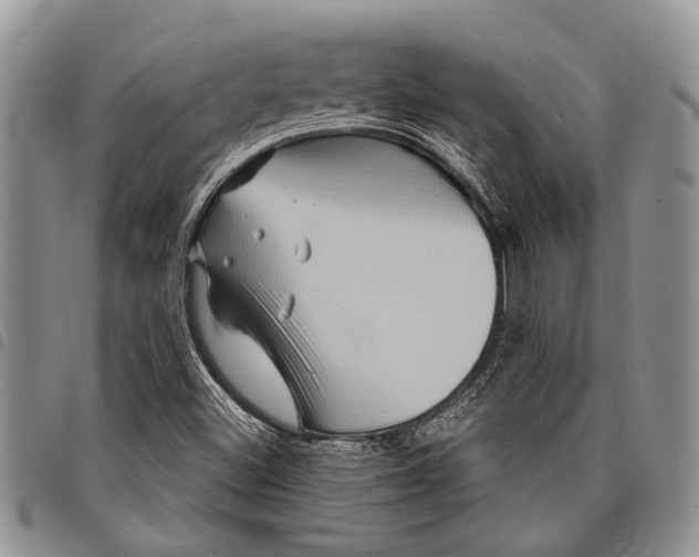 X0000097951500200804140950