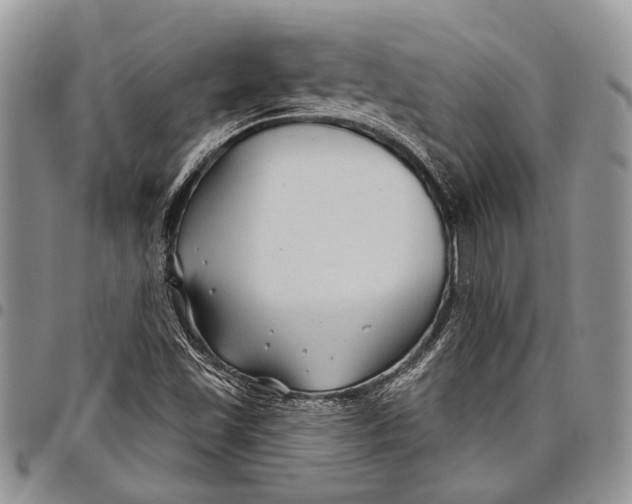 X0000097951501200804140950