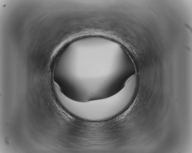 X0000097951502200804140950
