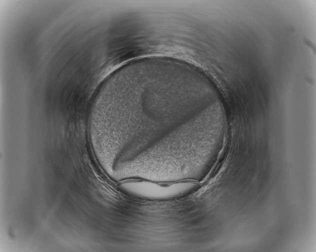 X0000097951505200804140950