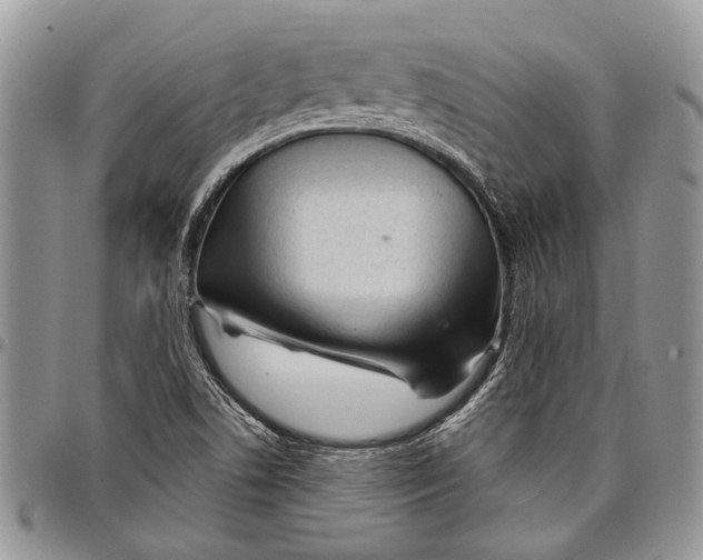 X0000097951506200804140950