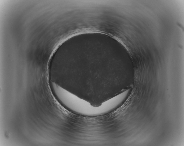X0000097951508200804140950