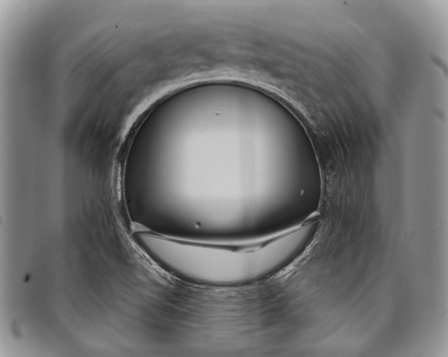 X0000097951510200804140950