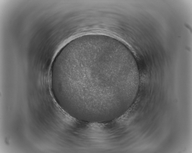 X0000097951514200804140950