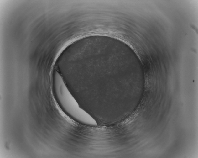X0000097951515200804140950