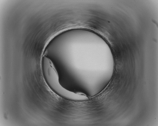 X0000097951516200804140950