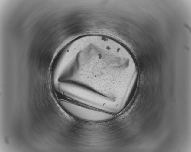 X0000097951517200804140950