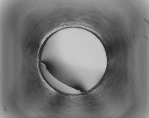 X0000097951518200804140950