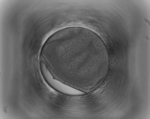 X0000097951519200804140950
