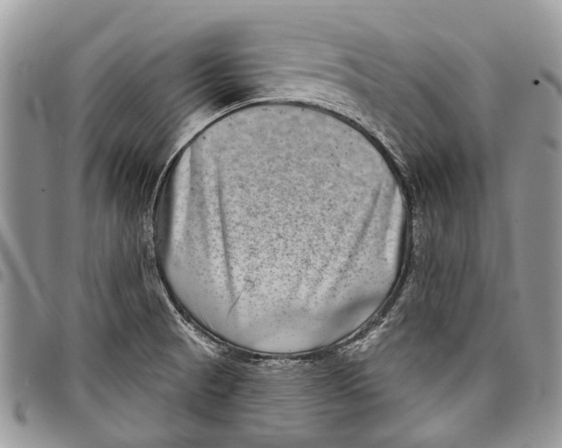 X0000097951521200804140950