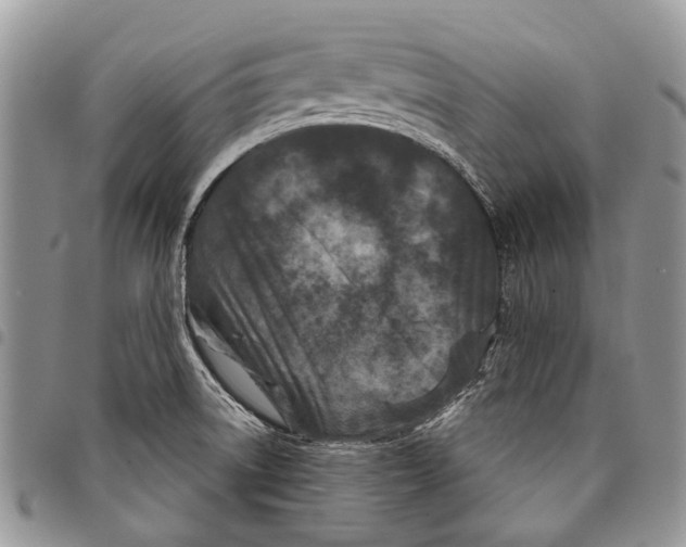 X0000097951522200804140950