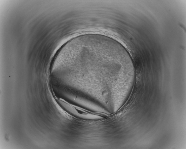 X0000097951523200804140950