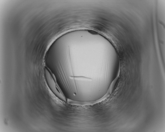 X0000097951524200804140950