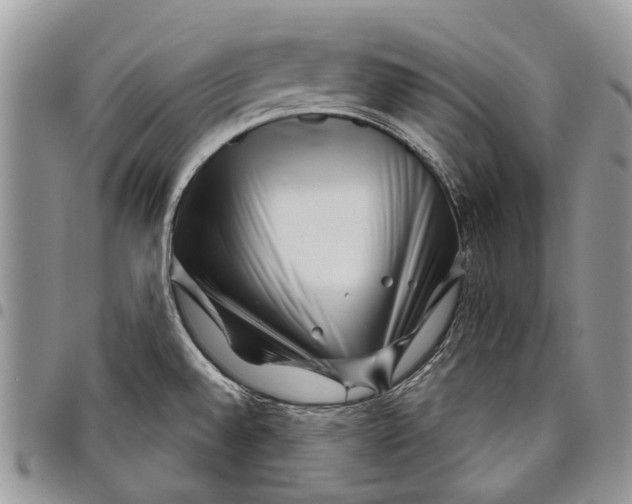 X0000097951528200804140950