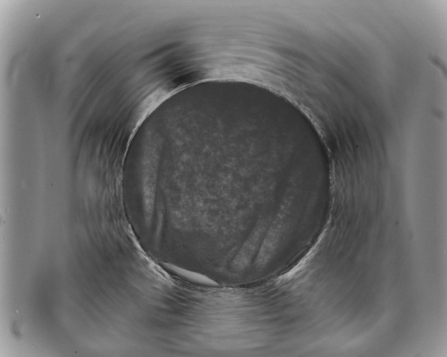 X0000097951529200804140950
