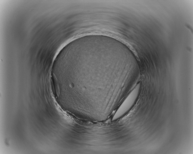 X0000097951530200804140950