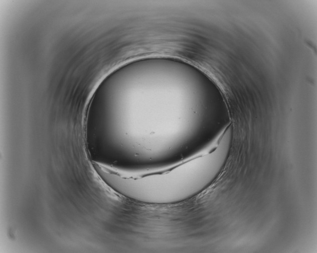 X0000097951532200804140950