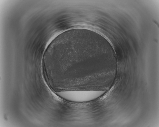 X0000097951533200804140950