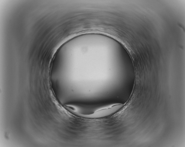 X0000097951534200804140950