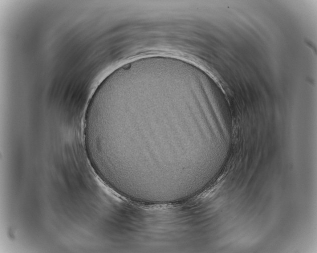 X0000097951535200804140950