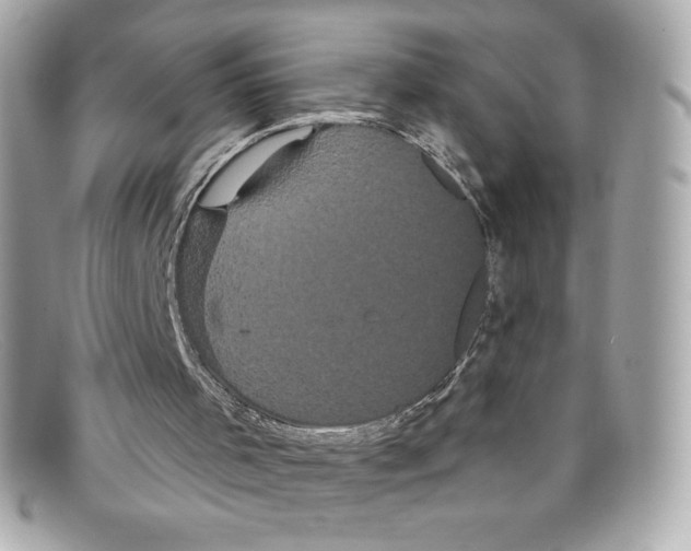 X0000097950001200804211048