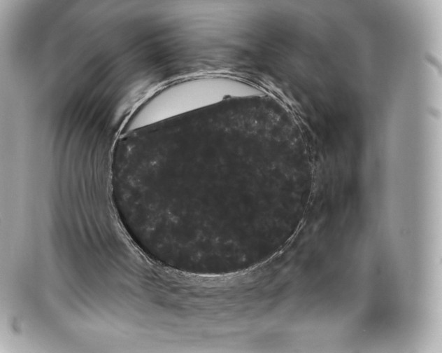 X0000097950002200804211048