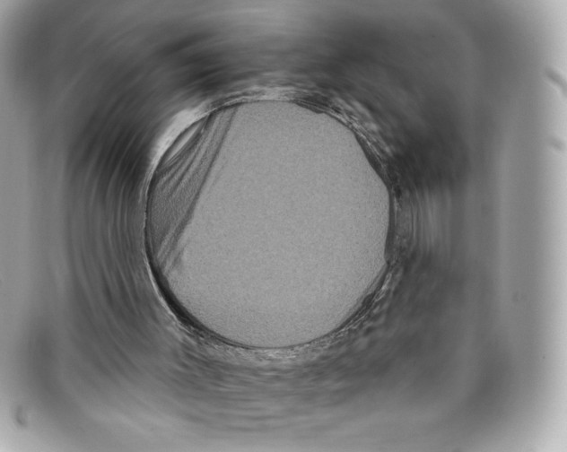 X0000097950003200804211048