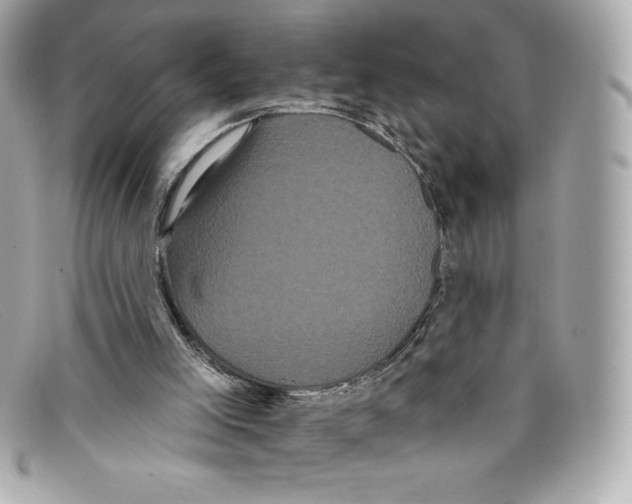 X0000097950005200804211048