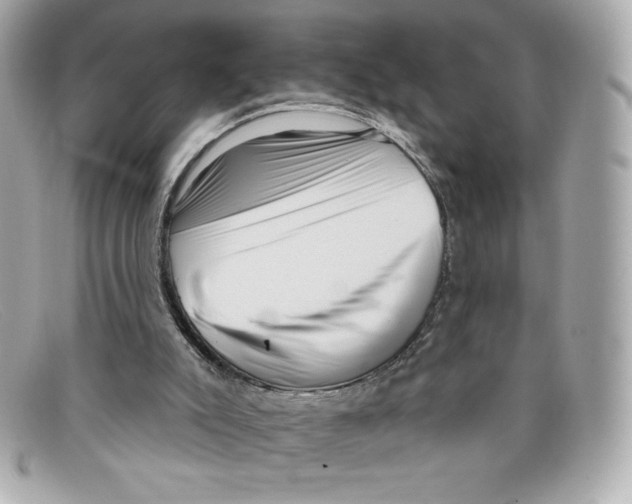X0000097950007200804211048