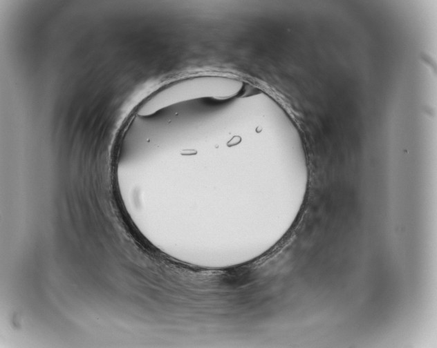 X0000097950008200804211048