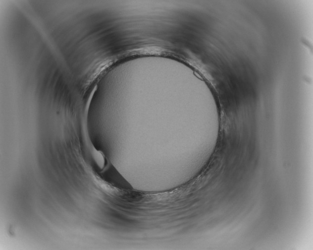 X0000097950013200804211048