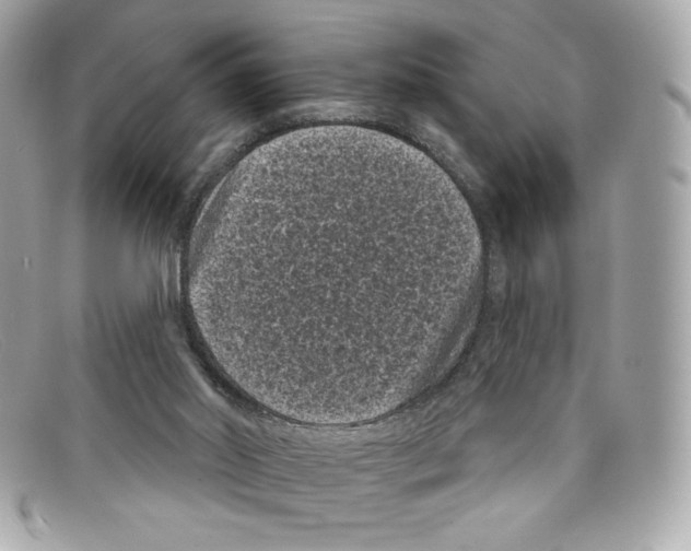 X0000097950014200804211048