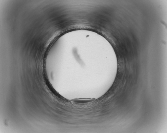 X0000097950015200804211048